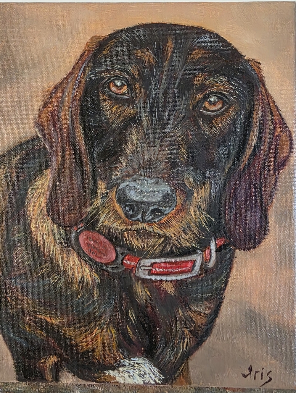 Abstract oil Painting cute dog, Wirehair Dachshund.